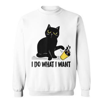 Funny Black Cat I Do What I Want Cat Lover Gifts Sweatshirt - Seseable
