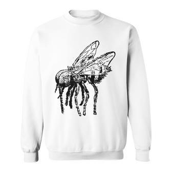 House Fly Fun Vintage Insect Bug Apparel Sweatshirt | Mazezy