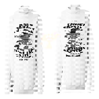 I Graduated Graduate Class 2023 Funny Cat Lovers Graduation Sweatshirt | Mazezy