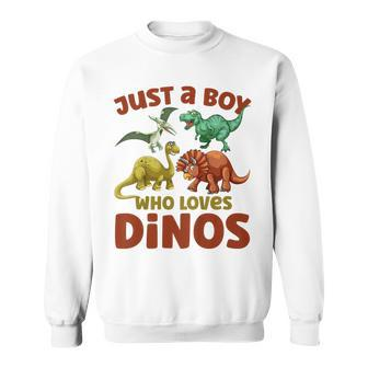Kids Dinosaur Just A Boy Who Loves Dinos T Rex Kids Dinosaur Funny Gifts Sweatshirt | Mazezy