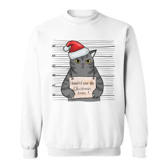I Knocked Over The Christmas Tree Fat Cat Shot Sweatshirt | Mazezy