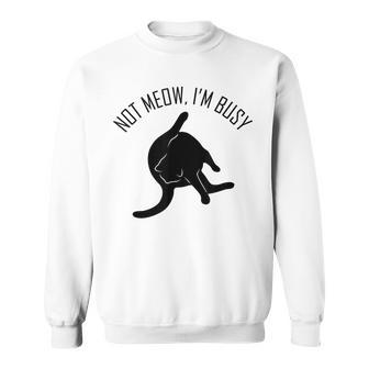 Not Meow I'm Busy Cat Sweatshirt | Mazezy