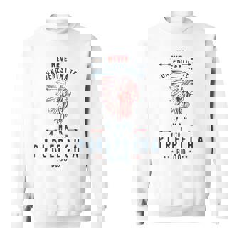 Purepecha Native Mexican Indian Man Never Underestimate Indian Funny Gifts Sweatshirt | Mazezy