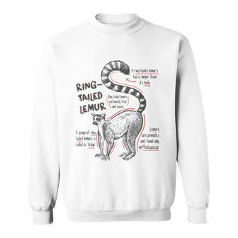 Trendy Ring-Tailed Lemur Facts Sweatshirt | Mazezy