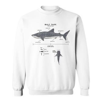 Whale Shark Anatomy Marine Biologist Sweatshirt - Seseable