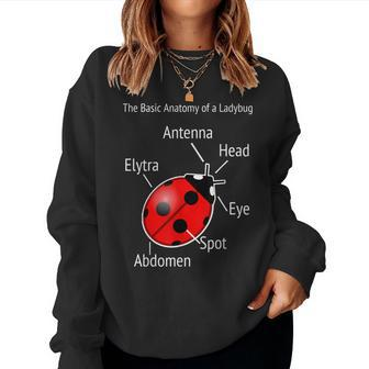 Ladybug Anatomy Teacher Help Women Sweatshirt | Mazezy