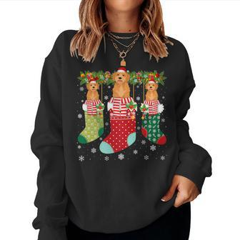 Three Goldendoodle Dog In Socks Ugly Christmas Sweater Party Women Sweatshirt - Monsterry UK