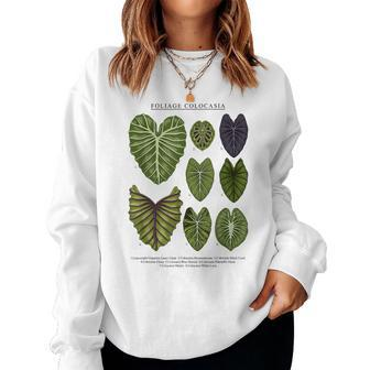 Colocasia Foliage Plants Aroid Lover Anthurium Women Sweatshirt | Mazezy