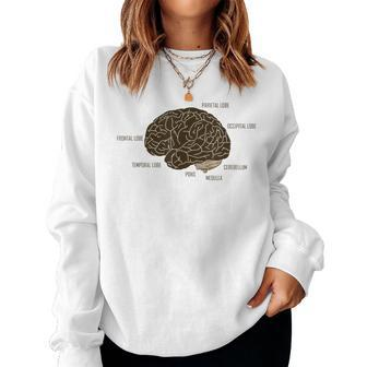Human Anatomy Brain Science I Students Teachers Women Sweatshirt | Mazezy