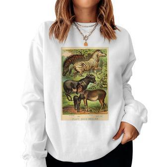 Quagga Zebra Donkey Vintage Colorful Animal Lithograph Women Sweatshirt | Mazezy