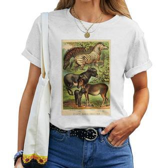 Quagga Zebra Donkey Vintage Colorful Animal Lithograph Women T-shirt | Mazezy CA