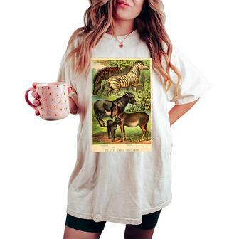 Quagga Zebra Donkey Vintage Colorful Animal Lithograph Women's Oversized Comfort T-shirt | Mazezy
