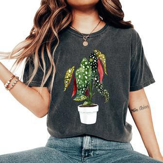 Begonia Maculata House Plant Plants Green Leaf Leaves Wings Women's Oversized Comfort T-Shirt | Mazezy