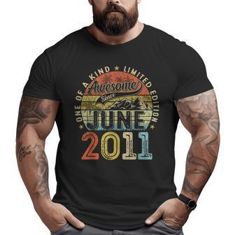 Vintage Awesome Since June 2011 12Th Birthday Gift For Women Big and Tall Men Graphic T-shirt | Mazezy