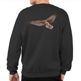 Birding Harrier Hawk Marsh Hawk Pocket-Style Emblem Sweatshirt Back Print | Mazezy