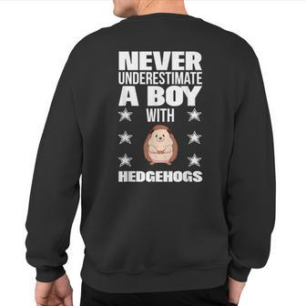 Boys Never Underestimate A Boy With Hedgehogs Sweatshirt Back Print - Monsterry UK