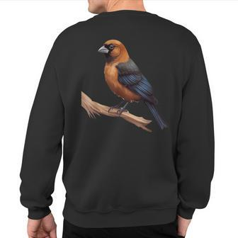 Brown Headed Cowbird Lover Illustration Sweatshirt Back Print | Mazezy