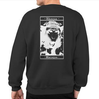 Rhesus Macaque Monkey Sweatshirt Back Print | Mazezy