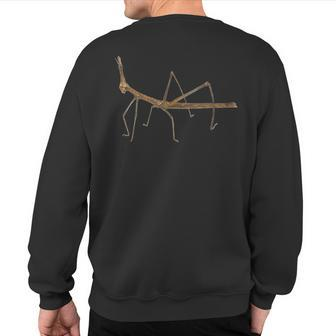 Stick Bug Insect Entomology Sweatshirt Back Print | Mazezy