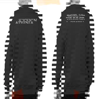 Trust Me I'm An Audio Visual Av Technician Sweatshirt Back Print | Mazezy