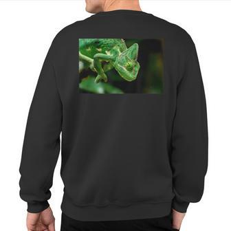 Veiled Chameleon Reptile Lizard Sweatshirt Back Print | Mazezy