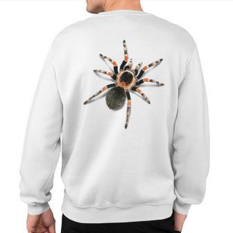 Realistic Red Knee Tarantula Sweatshirt Back Print - Monsterry UK