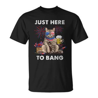 Just Here To Bang Usa Flag Funny Beer 4Th Of July Cat Lover  Unisex T-Shirt