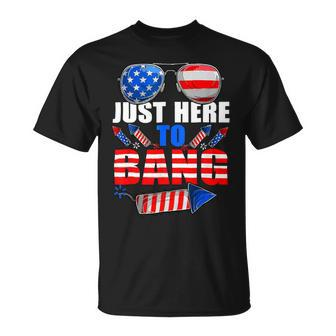 4Th Of July Im Just Here To Bang Fireworks Unisex T-Shirt - Monsterry AU