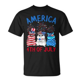 America 4Th Of July Guinea Pig Fireworks Independence Day Unisex T-Shirt - Monsterry UK