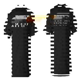 Amite City La Vintage Evergreen Sunset Eighties Retro T-Shirt | Mazezy