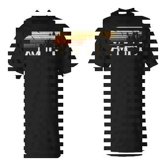 Amite La Vintage Evergreen Sunset Eighties Retro T-Shirt | Mazezy