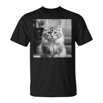 British Longhair Cat Cinematic Black And White Photography T-Shirt | Mazezy