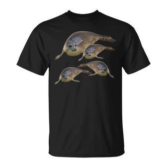 California Sea Lions Marine Mammal Seals T-Shirt | Mazezy