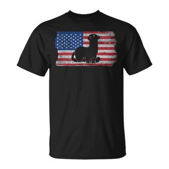 Ferret With The Usa Flag United States Of America Retro Unisex T-Shirt - Monsterry UK