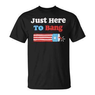 Funny Fourth Of July 4Th Of July Im Just Here To Bang Unisex T-Shirt - Monsterry