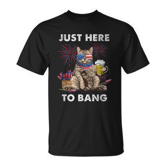Just Here To Bang Usa Flag Beer 4Th Of July Cat Lover T-shirt