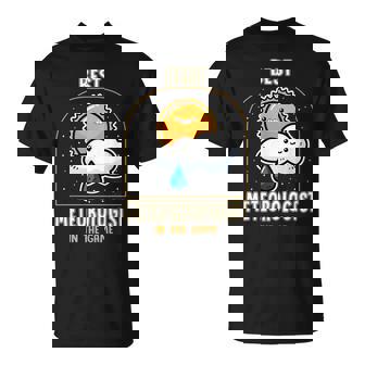Meteorologist Weather Forecast Best Meteorologist Storm T-Shirt | Mazezy