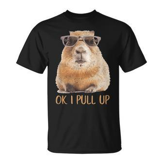 Ok I Pull Up Capybara Gifts For Capybara Lovers Funny Gifts Unisex T-Shirt | Mazezy