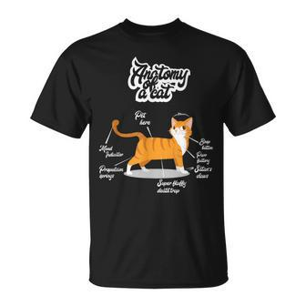 Orange Tabby Cat Anatomy Of A Cat Cute Present T-Shirt | Mazezy
