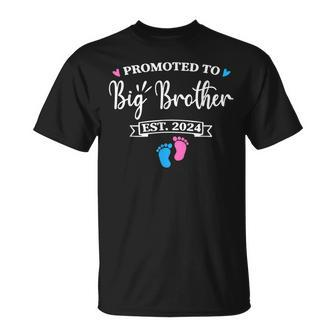 Promoted To Big Brother Est 2024 Pink Or Blue Bro Love You Unisex T-Shirt - Seseable