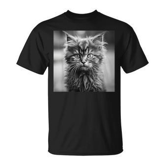 Selkirk Rex Cat Cinematic Black And White Photography T-Shirt | Mazezy