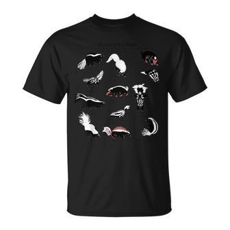 Skunks Of The World Species Of Mephitidae T-Shirt | Mazezy