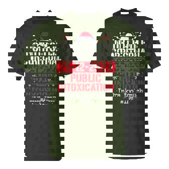North Pole Correctional Public Intoxication Family Christmas T-Shirt - Thegiftio