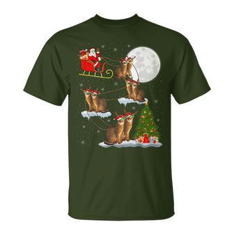 Xmas Lighting Tree Santa Riding Abyssinian Cat Christmas T-Shirt - Thegiftio UK