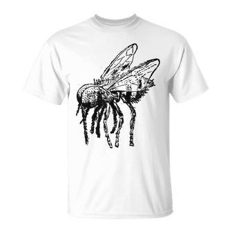 House Fly Fun Vintage Insect Bug Apparel T-Shirt | Mazezy