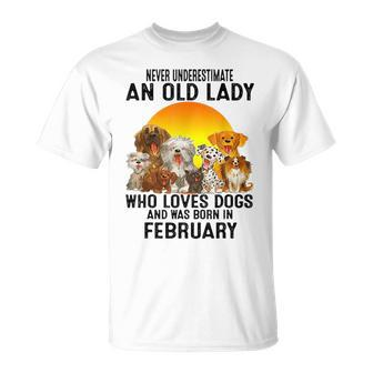 Never Underestimate An Old February Lady Who Loves Dogs Unisex T-Shirt