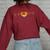 Love Armadillo Heartbeat Vintage Retro Armadillo Women's Oversized Sweatshirt Back Print Maroon