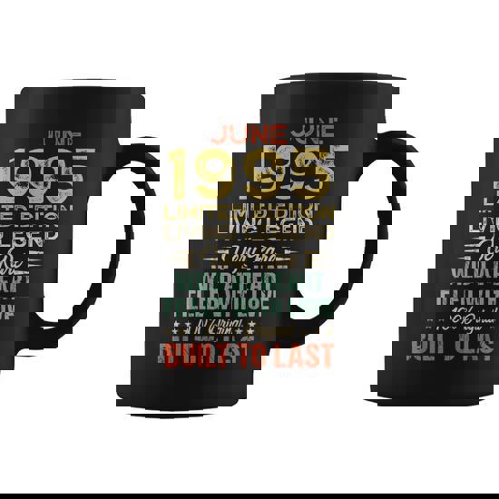 Epic Since February 1995 25th Birthday Gift 25 Years Old T-Shirt