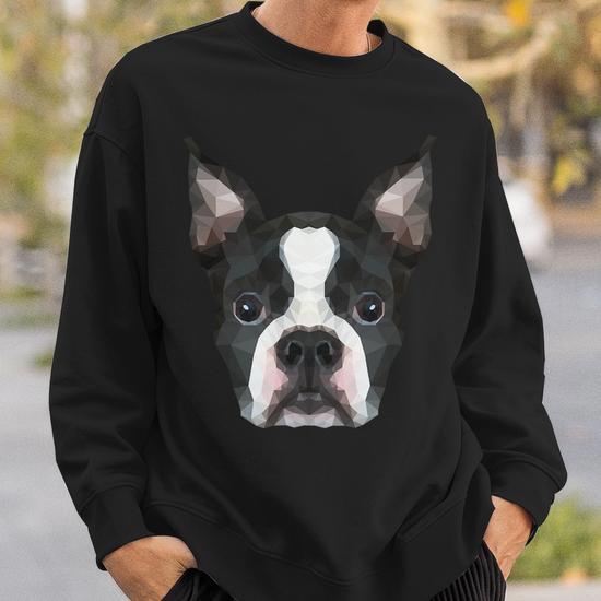 Dog Boston Terrier Art Sweatshirt Monsterry