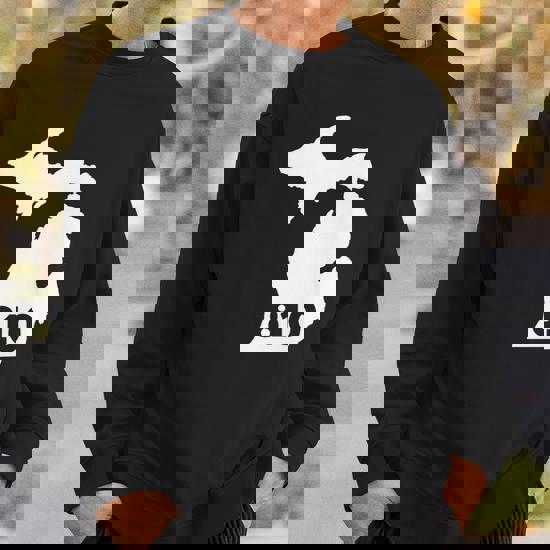 Michigan 810 Area Code Sweatshirt | Mazezy